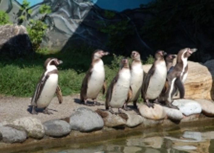 Erlebniswelt Seeteufel Erlebniswelt Seeteufel - Studen BE - Guidle photo