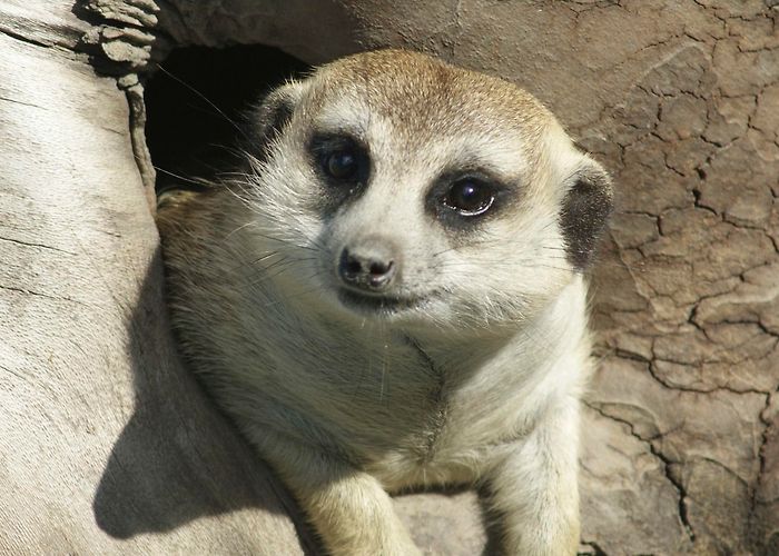 Erlebniswelt Seeteufel Seeteufel adventure park, Studen BE | Switzerland Tourism photo