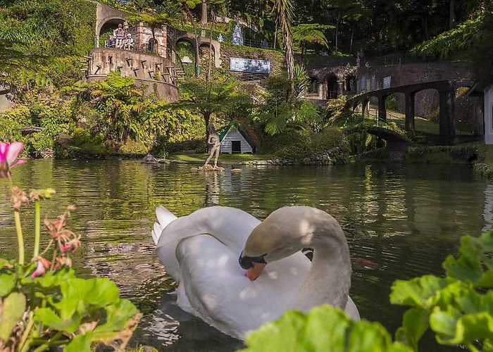 Monte Palace Tropical Garden Monte Palace Madeira - Tropical Garden - Visit Madeira | Madeira ... photo