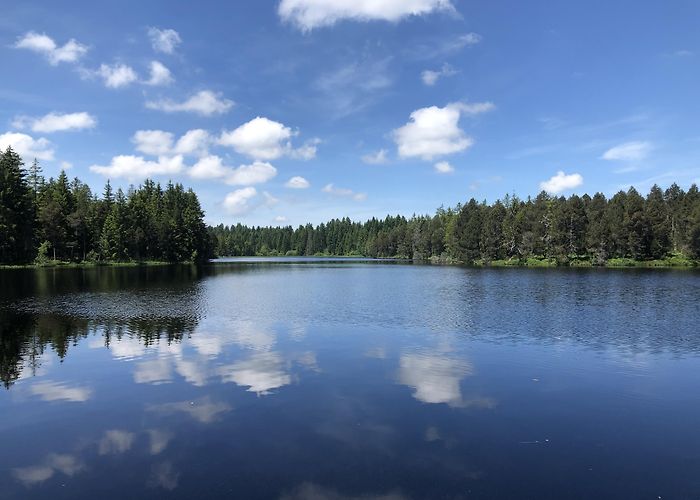 International Watch and Clock Museum Visit La Chaux-de-Fonds: 2024 Travel Guide for La Chaux-de-Fonds ... photo