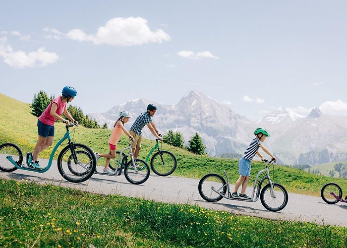 Aebi-Sillerenbühl Scooterland Adelboden | VogellisiBerg photo