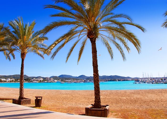 Punta Galera Beach Ibiza Karting San Antonio Tours - Book Now | Expedia photo