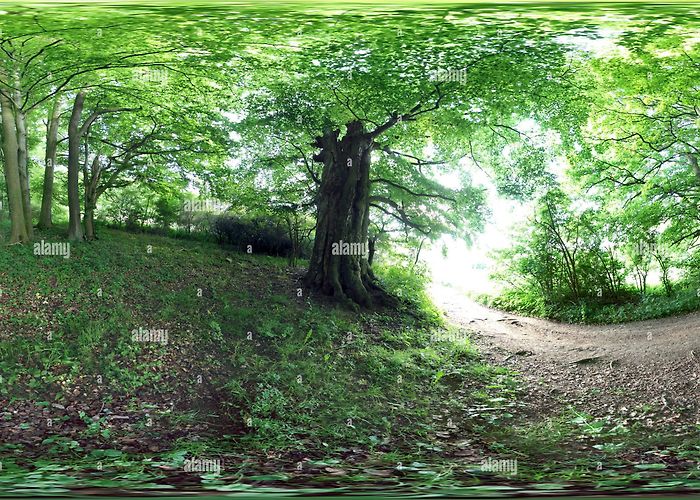 Alternativer Bärenpark Worbis Worbis hi-res stock photography and images - Page 3 - Alamy photo