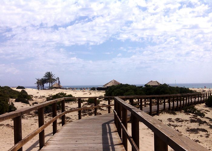 Playa Carabassi Beach Playa Carabassi in Santa Pola: 24 reviews and 134 photos photo