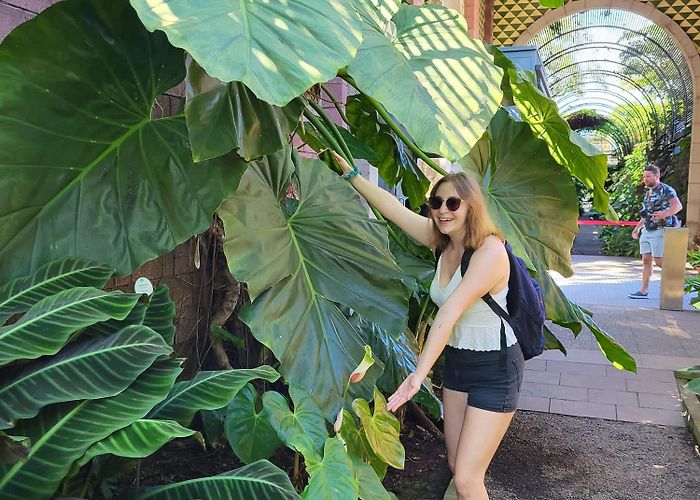 Botanical Gardens The botanical garden in puerto de la Cruz is my favorite place in ... photo