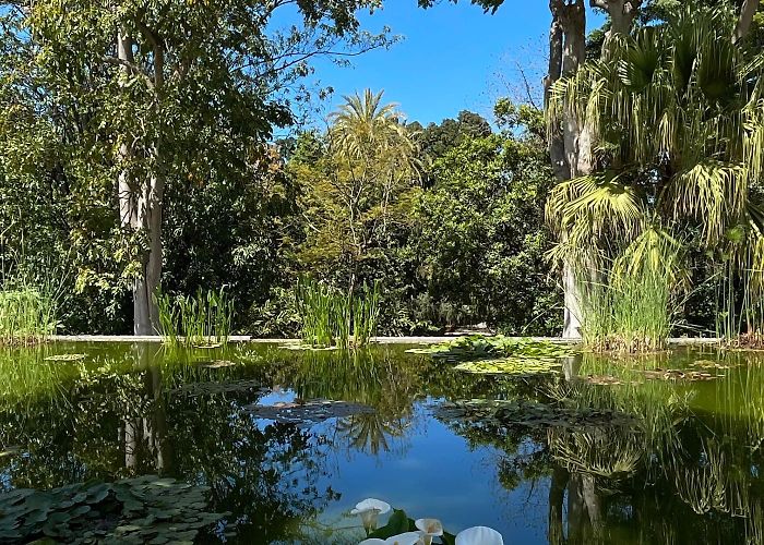 Botanical Gardens Botanical Garden Puerto de la Cruz, Tenerife – Springhill Stories photo