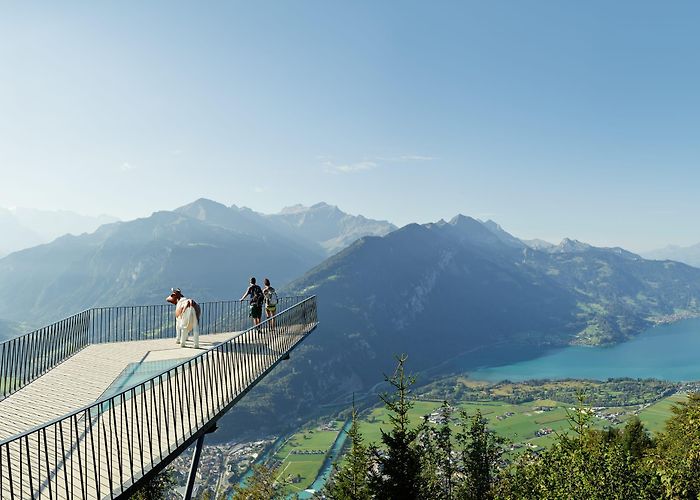 Harder Kulm Harder Kulm – Top of Interlaken | jungfrau.ch photo