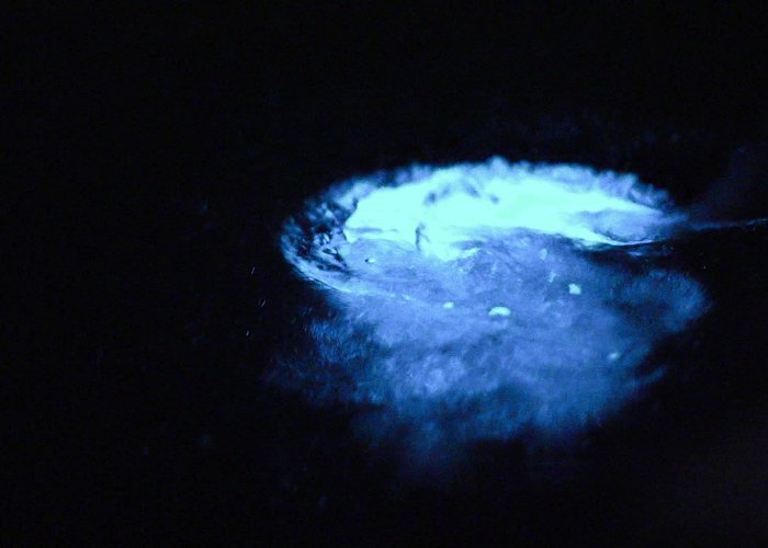 Bioluminescent Bay Vieques' bioluminescent wonder: Paddling in trippy Mosquito Bay | CNN photo