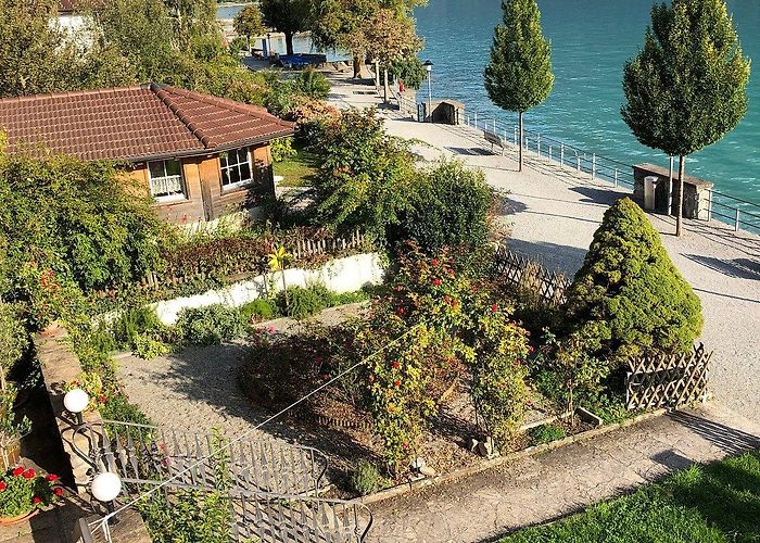 Wildpark Brienz THE 10 BEST Brienz Romantic Hotels for Couples 2024 - Tripadvisor photo