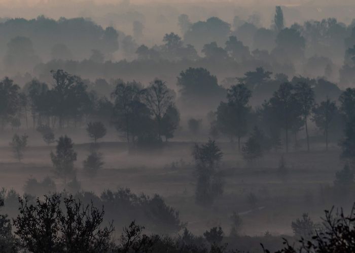 De Holterberg Visit Holten: 2024 Travel Guide for Holten, Overijssel | Expedia photo