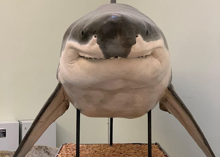 Musee Romain Lausanne-Vidy Museums Worth a Visit in Lausanne, Switzerland — Observing Leslie photo