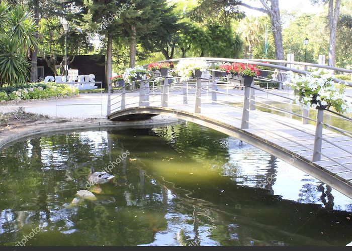Marechal Carmona Park Marechal Carmona Park Cascais August 2021 Cascais Portugal ... photo
