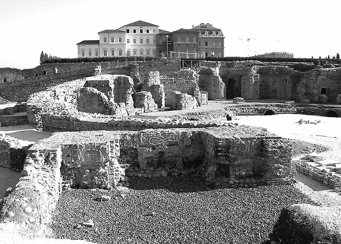 Musée de Sciences Naturelles e storia, Florence, Alinea 2004 - Issuu photo