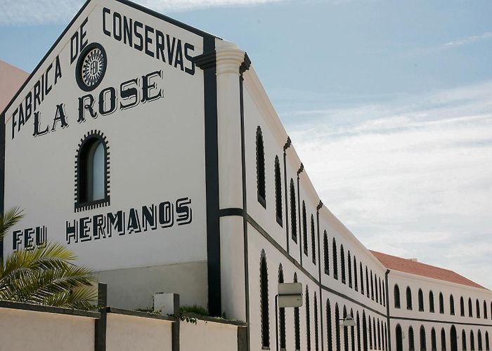 Museu de Portimão Museu de Portimão | Museus do Algarve photo