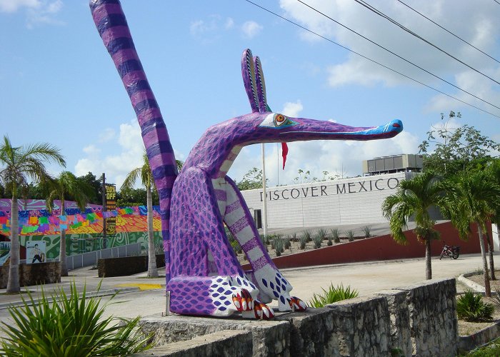 Discover Mexico Cozumel Park What a delicious day in Cozumel, Mexico | The Delicious Divas photo
