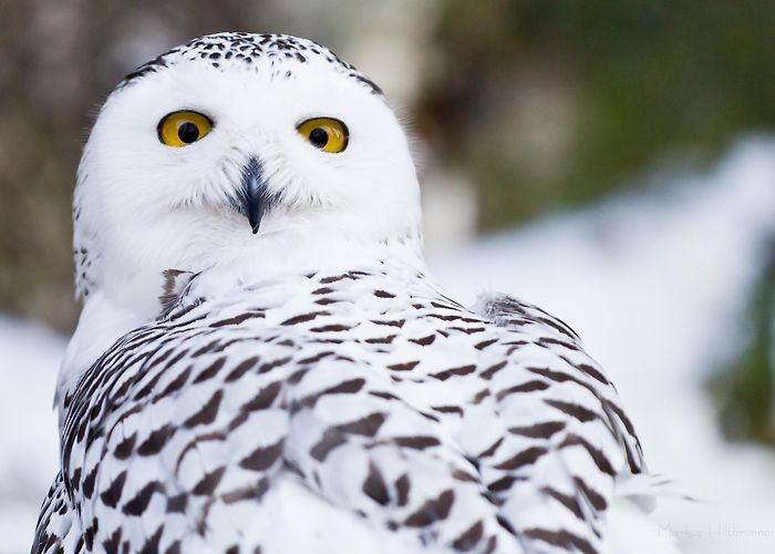 Tierpark Biel Zoo Biel, Biel/Bienne | Tourism Biel Seeland (CH) | Zoo photo