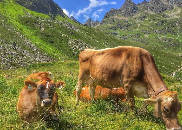 Europatreppe Visit Gaschurn: 2024 Travel Guide for Gaschurn, Vorarlberg | Expedia photo