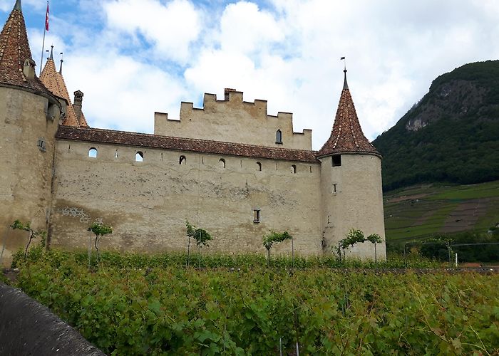 Aigle Castle Musée de la Vigne et du Vin at Aigle Castle – CUISINE HELVETICA photo