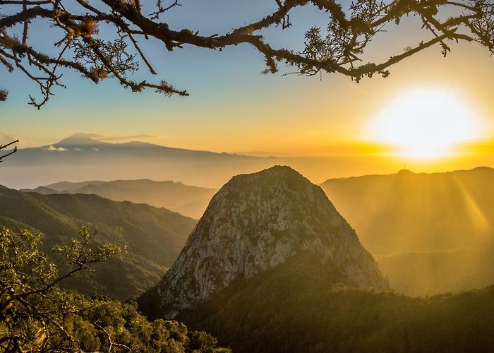 Parque Nacional de Garajonay Visita Parque Nacional de Garajonay en Islas Canarias - Tours ... photo