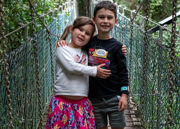 O'Reilly's Tree Top Walk O'Reilly's Just Delivered The Best Short Getaway For Families - Issuu photo