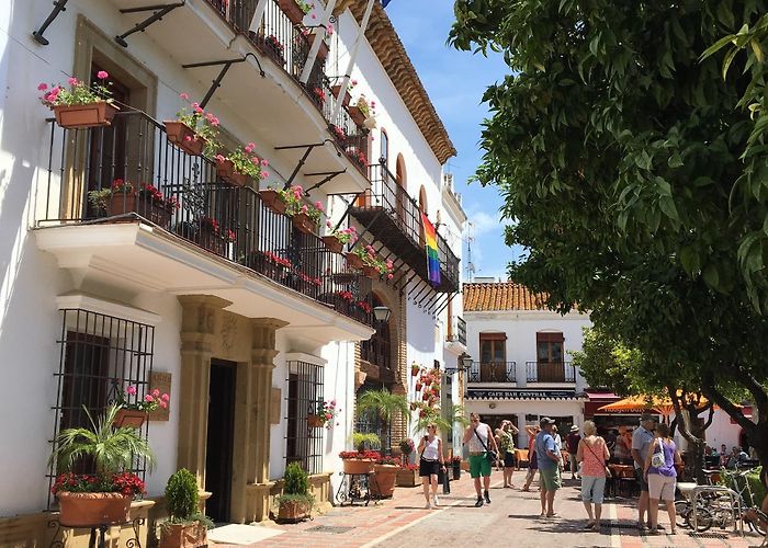 Plaza de los Naranjos Plaza de los Naranjos Tours - Book Now | Expedia photo