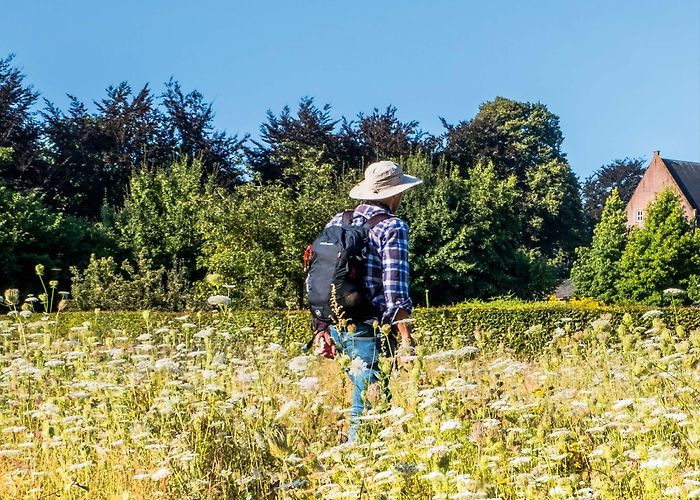 Hoeve Kakelbont Hollands Glorie 2021-5 by Credits Media - Issuu photo