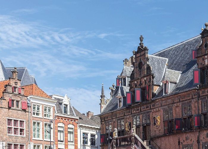 Hoeve Kakelbont Hollands Glorie 2021-5 by Credits Media - Issuu photo