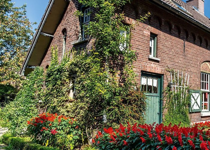 Hoeve Kakelbont Hollands Glorie 2021-5 by Credits Media - Issuu photo