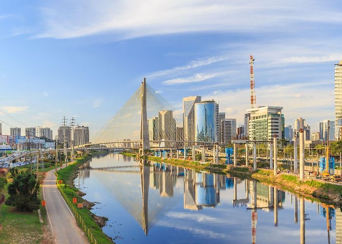 Sao Paulo's Zoo Park THE TOP 15 Things To Do in Sao Paulo (UPDATED 2024) | Attractions ... photo