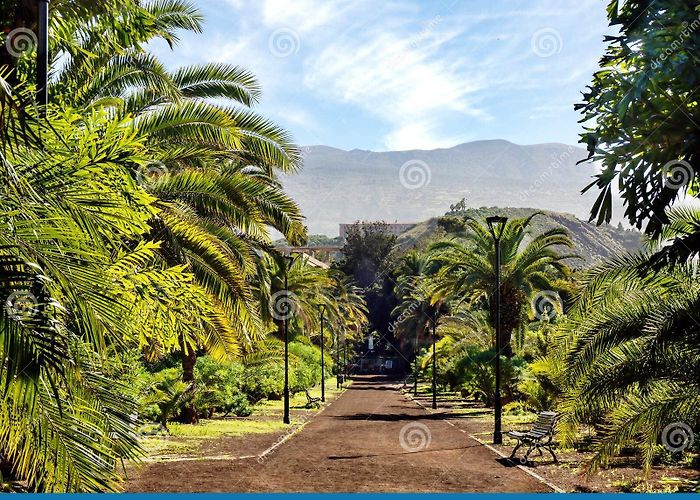 Taoro Park The the `Taoro Parque` a Large Leisure Park Over the Old Town of ... photo
