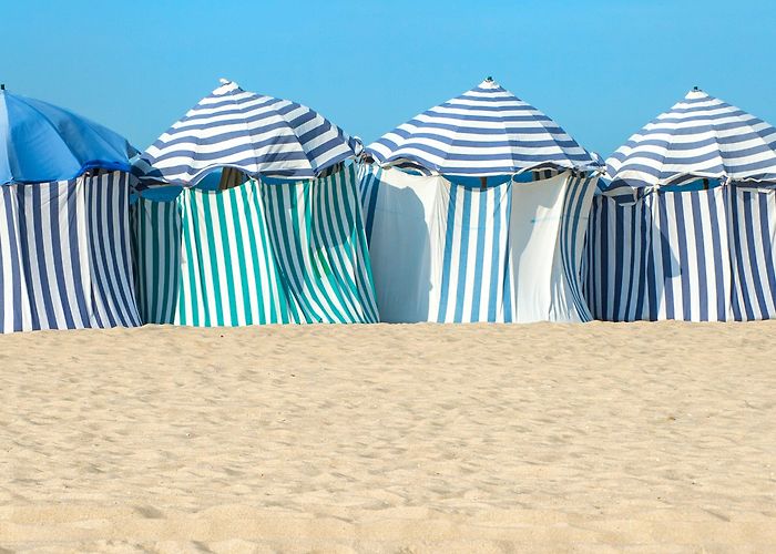 Figueira Beach Activities, Guided Tours and Day Trips in Figueira da Foz photo