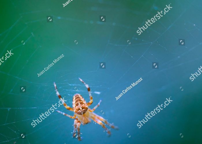 Redes Natural Park 54 Caso De Campo Royalty-Free Photos and Stock Images | Shutterstock photo