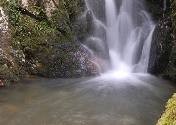 Redes Natural Park Redes Natural Park Tours - Book Now | Expedia photo