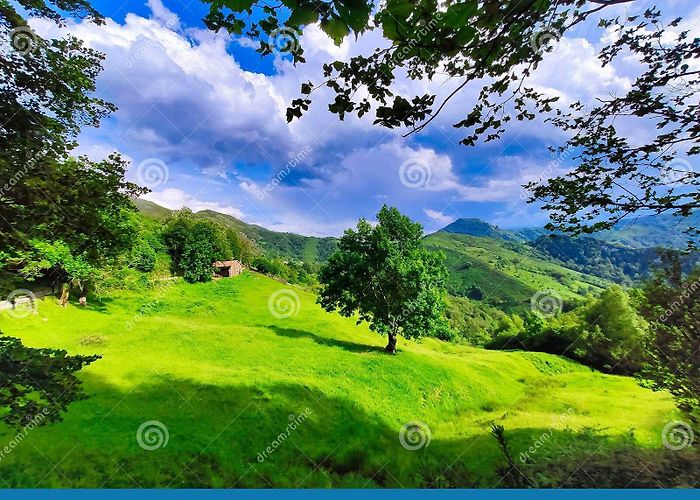 Redes Natural Park Landscape with Meadows Near Frieru Track, Redes Natural Park and ... photo