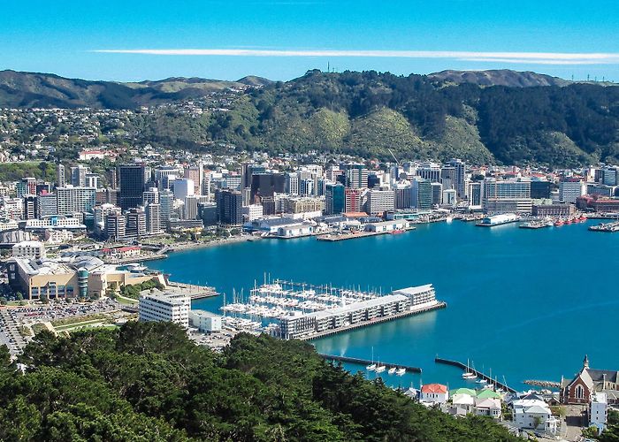 Mount Victoria Mt Victoria Wellington - Flying and Travel photo