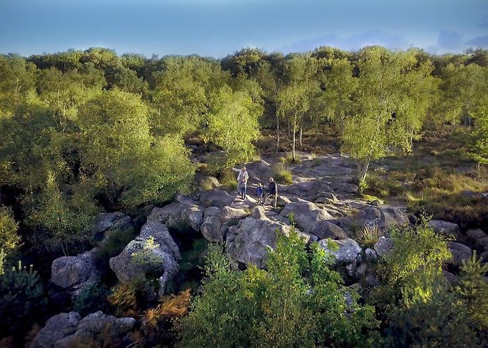 Forest of Fontainebleau The forest - Fontainebleau Tourisme - Fontainebleau Tourisme photo