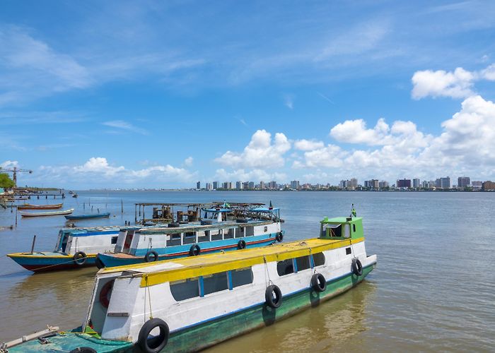 Federal University of Sergipe Things to Do in Sergipe in 2024 | Expedia photo