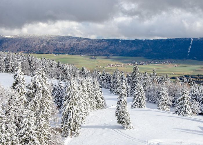 Tete de Ran Vue des Alpes - Tête de Ran - RandoResto.ch photo