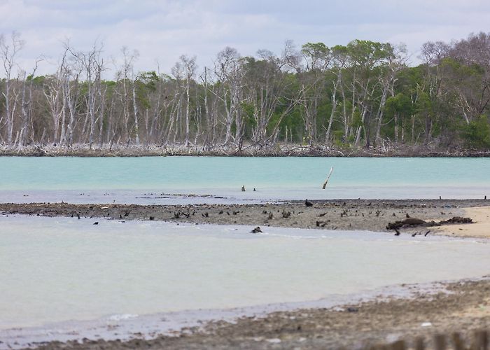 Glicerio Marques Stadium Visit Macapa: 2024 Travel Guide for Macapa, Amapá | Expedia photo