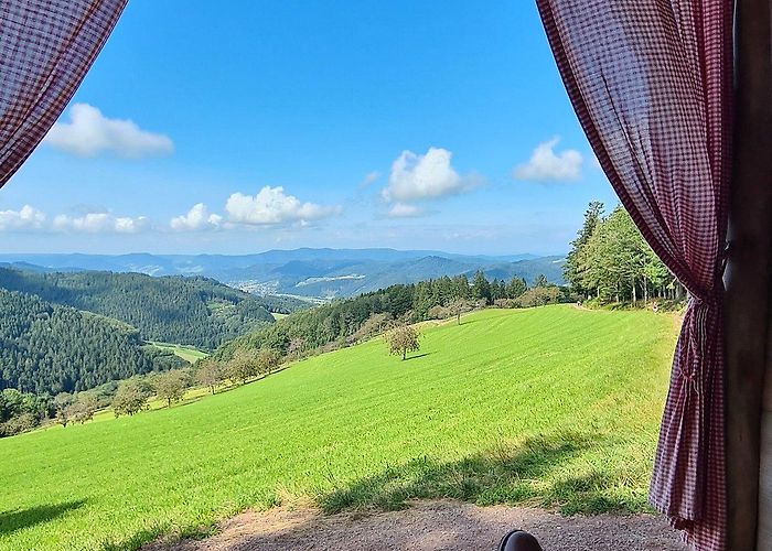 Park mit allen Sinnen Premiumweg "Harmersbacher Vesperweg" - All You Need to Know BEFORE ... photo