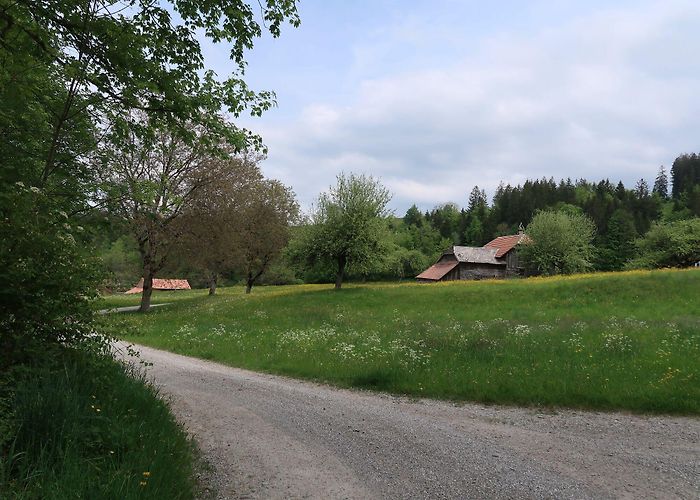 Fondation Abegg 14 Upper Hills Gravel Loop: Schwarzenburg - Riggisberg - BERGFEX ... photo
