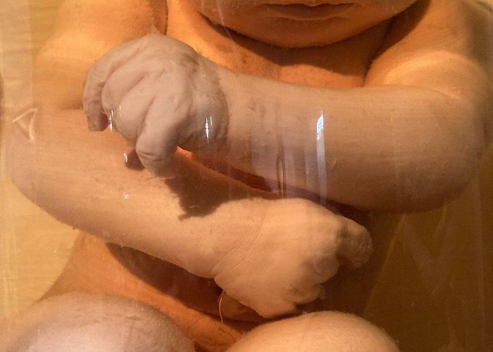 Museum Stemmler Museum Stemmler (Schaffhausen) - All You Need to Know BEFORE You ... photo