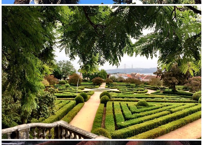 Ajuda Botanical Garden Botanical Gardens of Lisbon – Springhill Stories photo