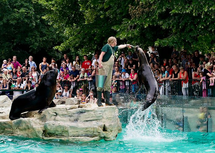 Schönbrunn Zoo Schönbrunn Zoo I Buy tickets online I imperialtickets.com photo