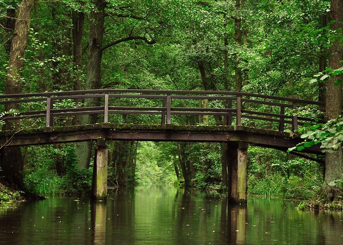 Tropical Islands Visit Lübben: 2024 Travel Guide for Lübben, Brandenburg Region ... photo