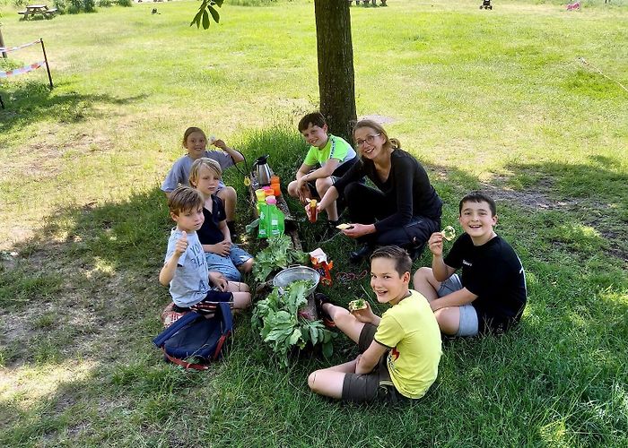 Kinderboerderij De Brink Kinderboerderij de Brink zoekt tuinbikkels - Al het nieuws uit ... photo