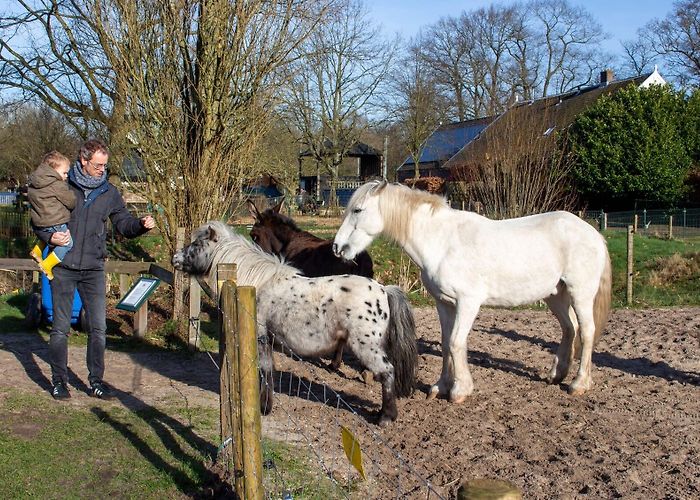 Kinderboerderij De Brink Kinderboerderij De Brink werkt aan natuurlijke omheining - Al het ... photo