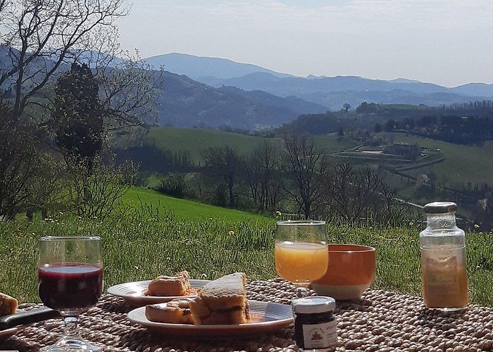 Museo Di Storia Dell'agricoltura COUNTRY HOUSE SANT'ANGIOLINO - B&B Reviews (Urbania, Italy) photo