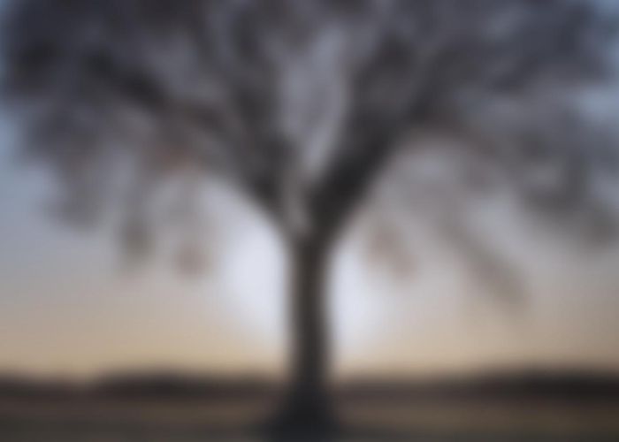 Fit-Sport De Schans Team Nijhof 2023 - EN by Newmore - Issuu photo