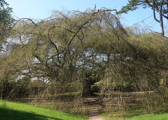Botanical Garden of Bayeux Visit Bayeux: 2024 Travel Guide for Bayeux, Normandy | Expedia photo